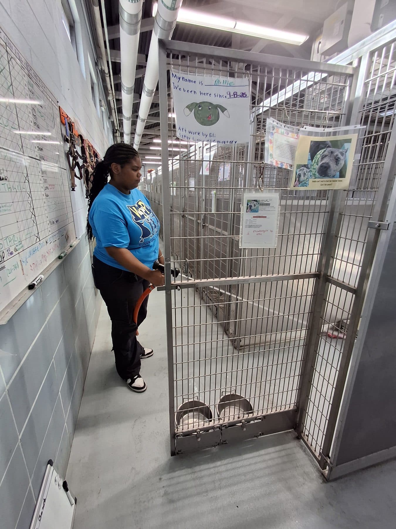 A participant working a kennel gate during a placement at an animal shelter